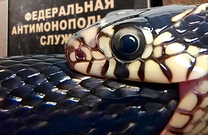 Инициативы ФАС промышленность не поддерживает